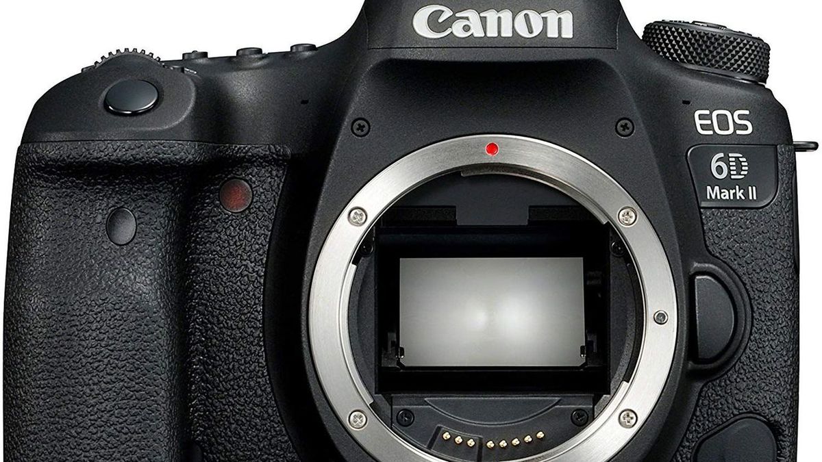 Comparación de cámaras SLR: clasificación