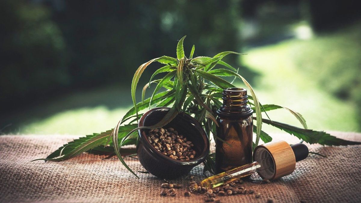 Le succès du CBD en France