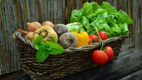 Everything you need to know about superfoods