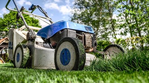 Choosing the right petrol lawn mower: the best, most reliable at the best prices and rates