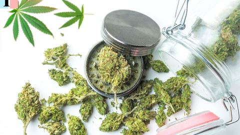 Consumir CBD: ¿aceite, e-líquido, infusión o producto de cuidado con CBD?