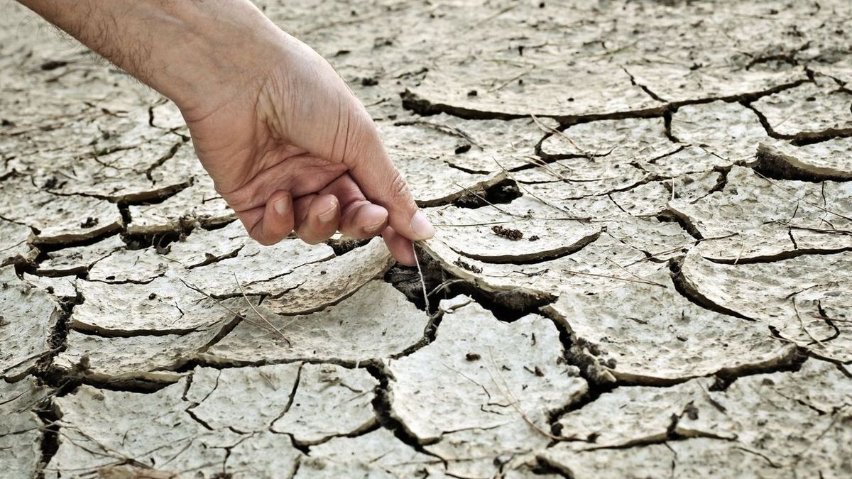 Shrinkage-swelling of clay soils RGA: The risks of drought on real estate are increasing