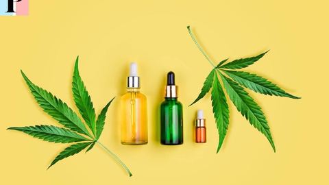 CBD y su impacto en el control del peso: ¿mito o realidad?