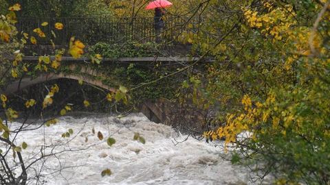 Red alert for risk of flooding in Indre-et-Loire and Vienne; 6,000 homes without electricity in Auvergne-Rhône-Alpes following violent winds.