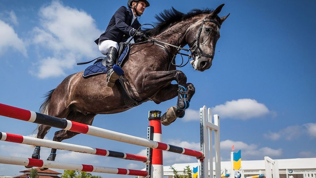 The riding airbag, an essential accessory for the safety of riders