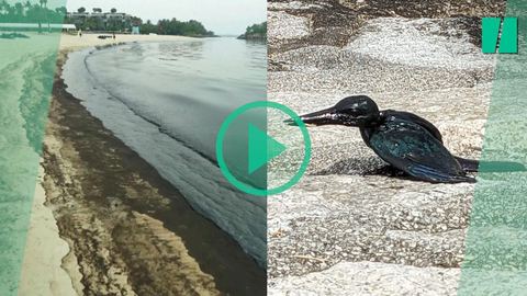 Colisión de dos barcos en Singapur: las playas de Sentosa, destino turístico, se vuelven negras