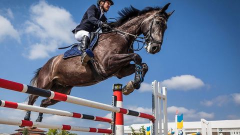 What are the essential accessories for horse riding?