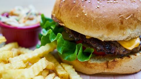 Embark on the adventure of a fast restaurant