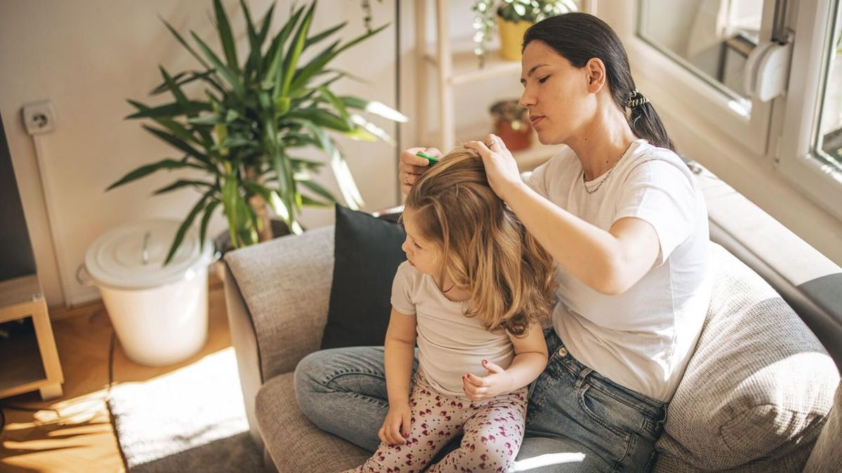 Here are some tips to prevent lice infestation in your child